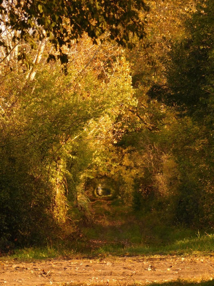 Photograph by Margit Nagy