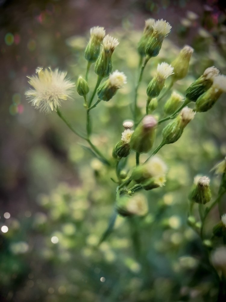 Photograph by Людмила Носова