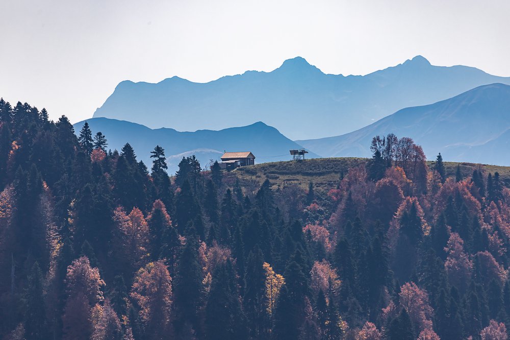 Одинокий домик