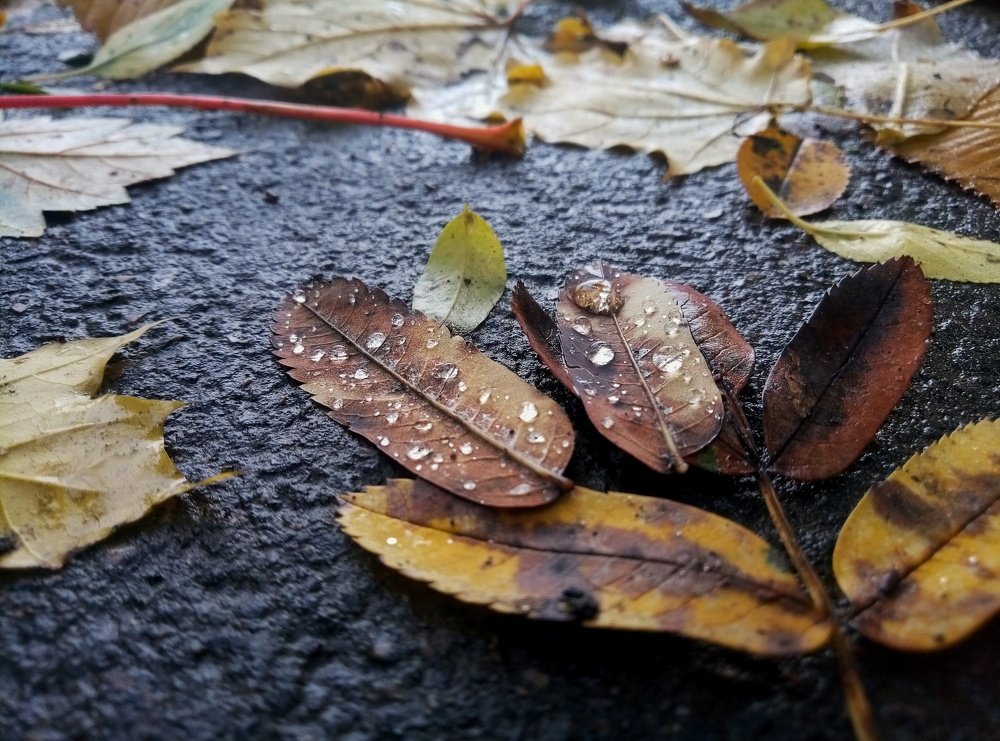 Photo #3726926