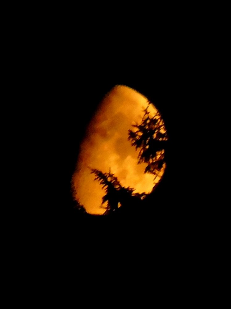 Красная Луна