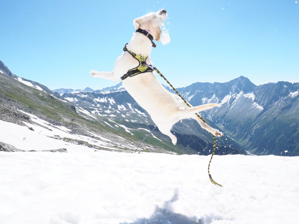 Photograph by Petr Kočica