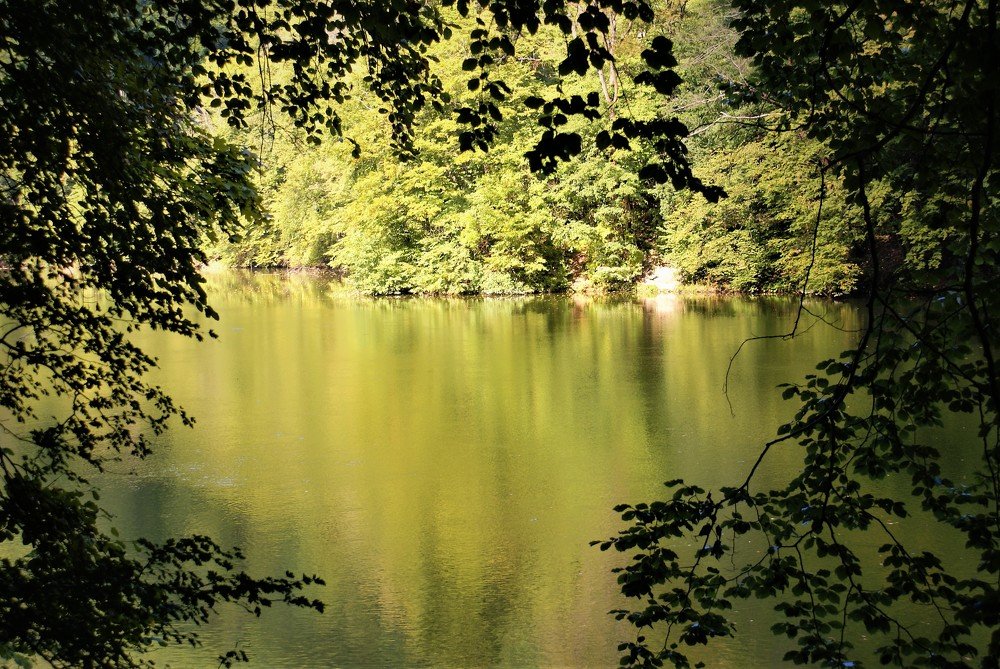 Photograph by Kálmán Rádai