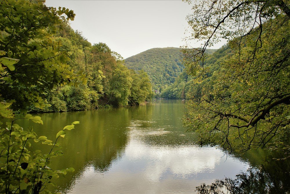 Photograph by Kálmán Rádai