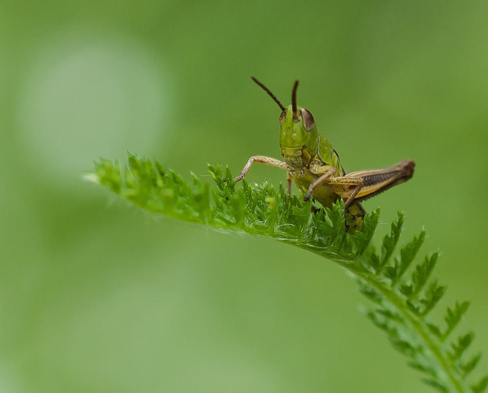 Photograph by Борис Саватюгин