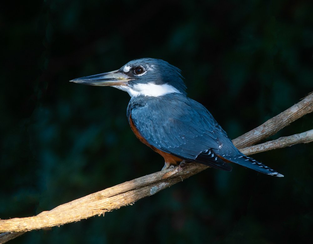 Photograph by Edilene Guerra