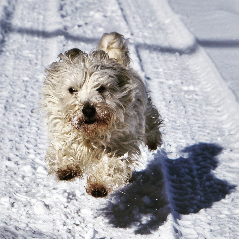 Photograph by Calin Florin