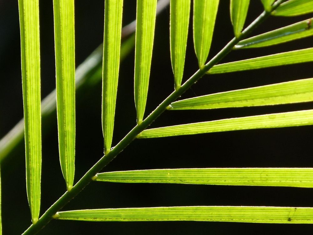 Photograph by wilfredo rojas