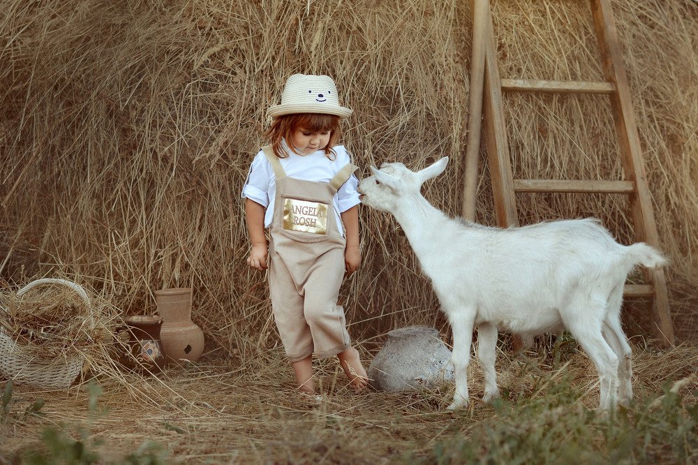 Photograph by Наталья Кошевая