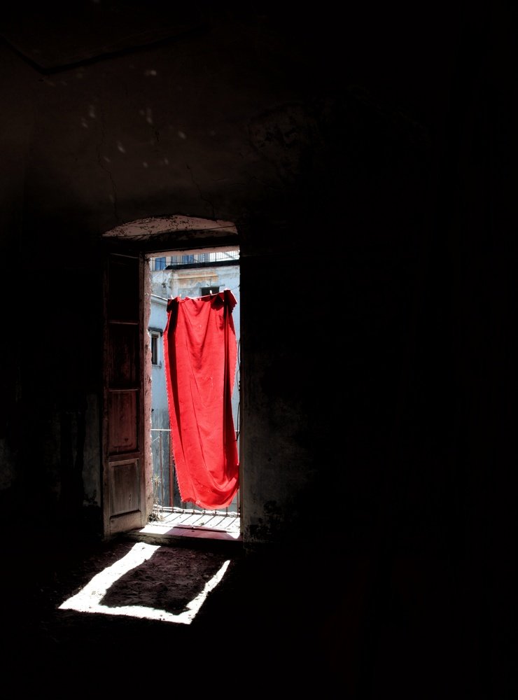Photograph by Sax
