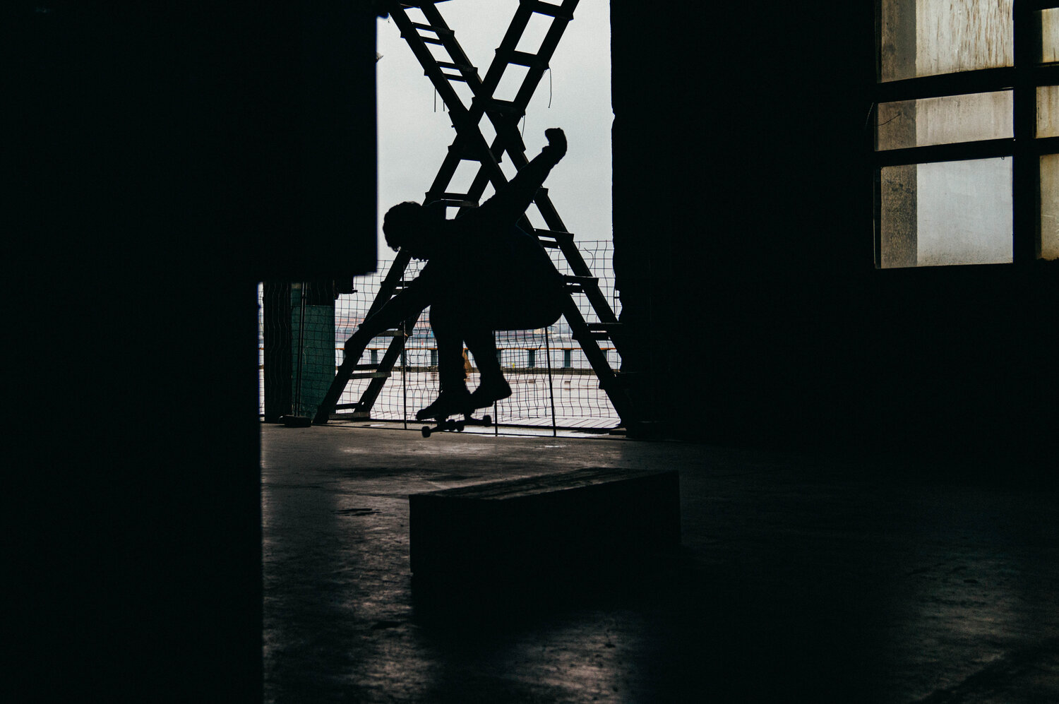 Photo #3727436