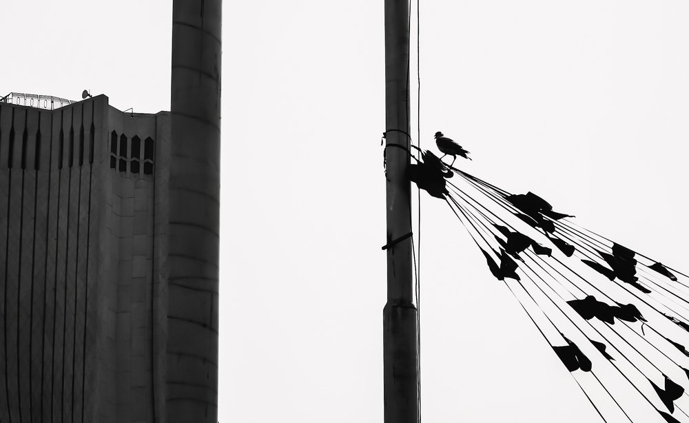Photograph by Mehdi Amirzadeh