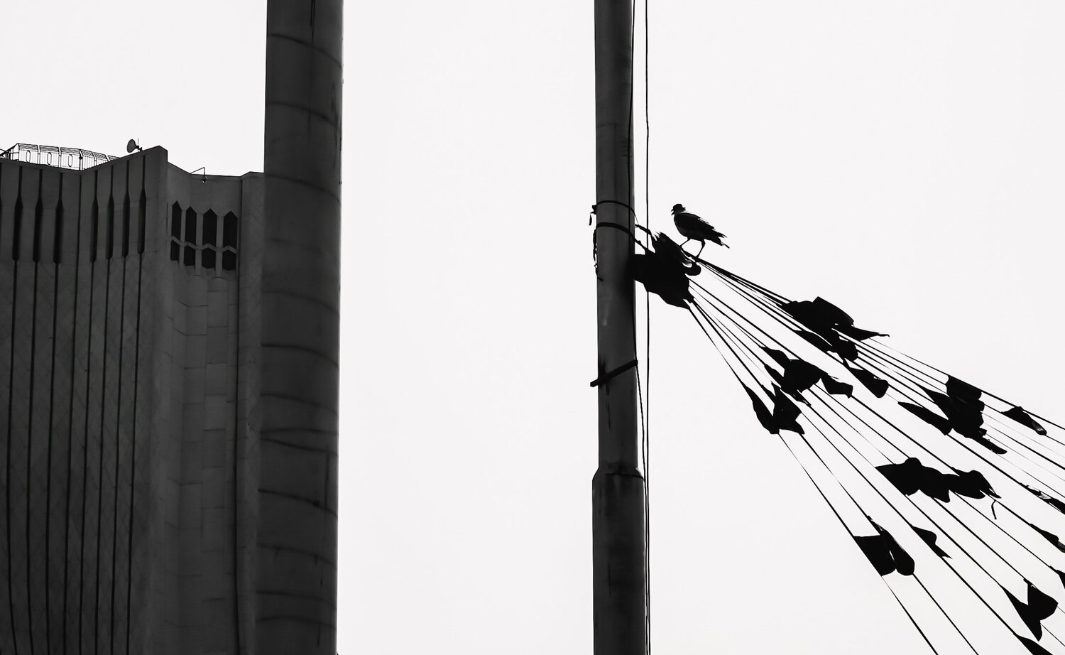 Photo #3727561