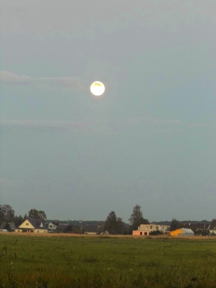 Photograph by Елена Грошева