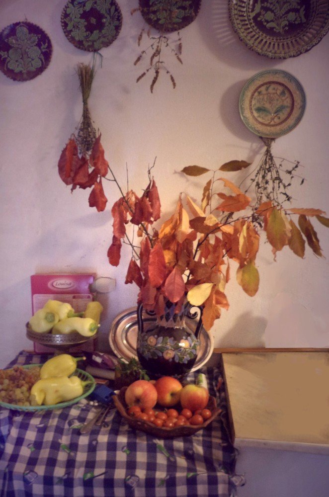 Photograph by eszter bodnár