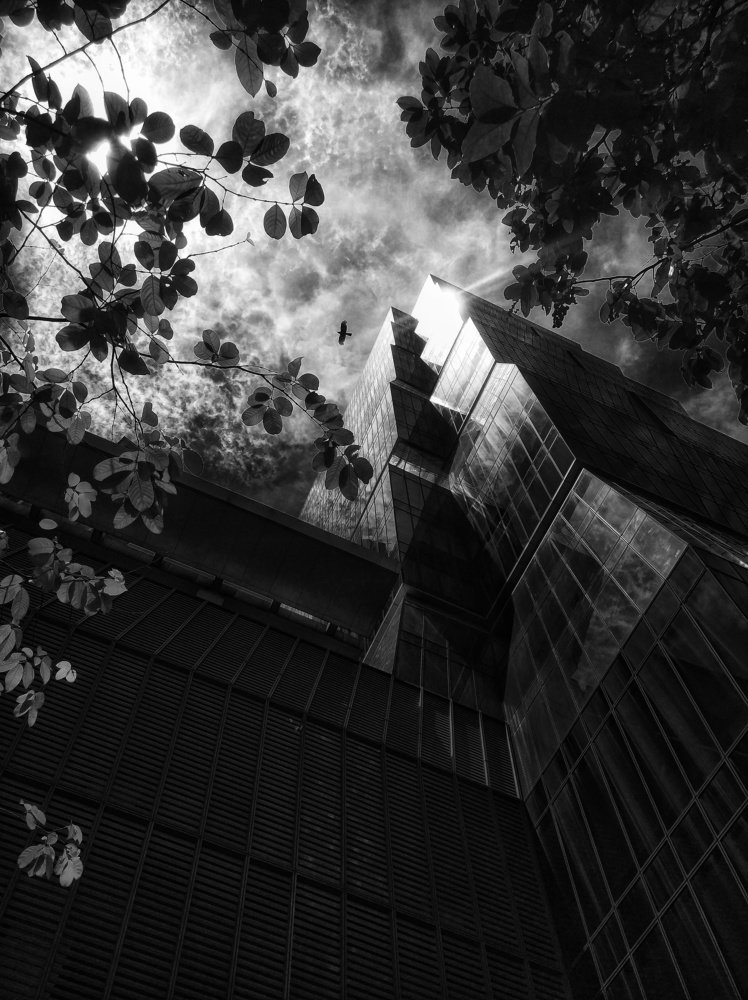 Photograph by Liew William