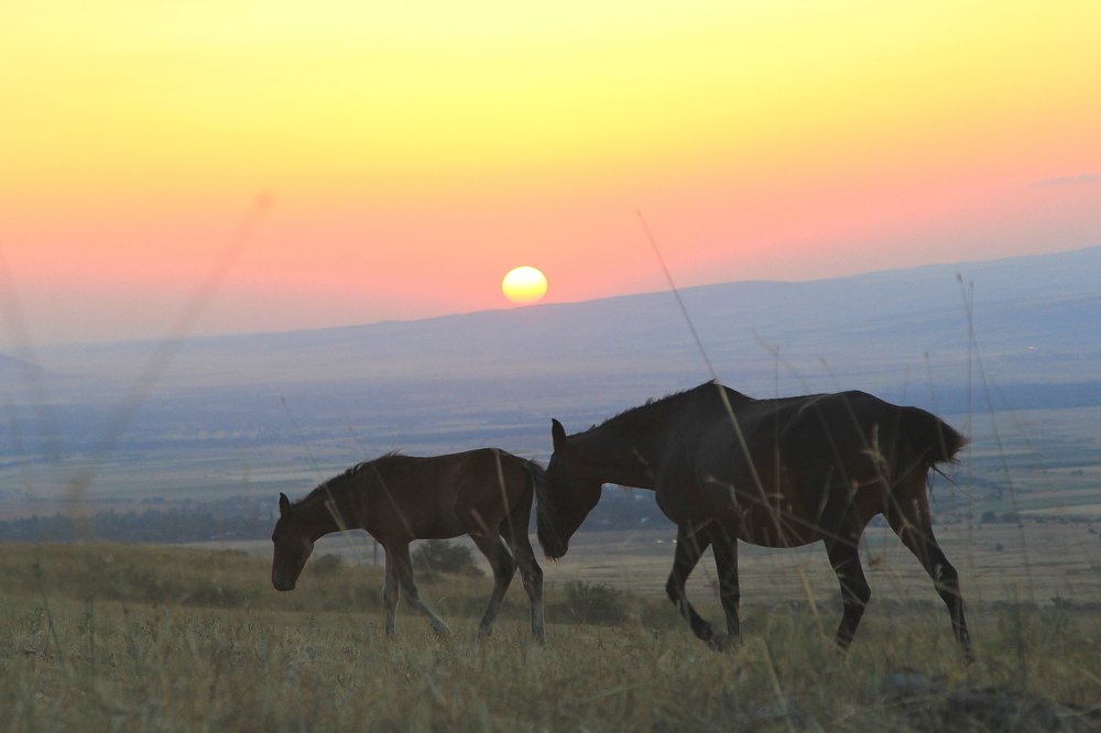 Photograph by Beybit Bertaev