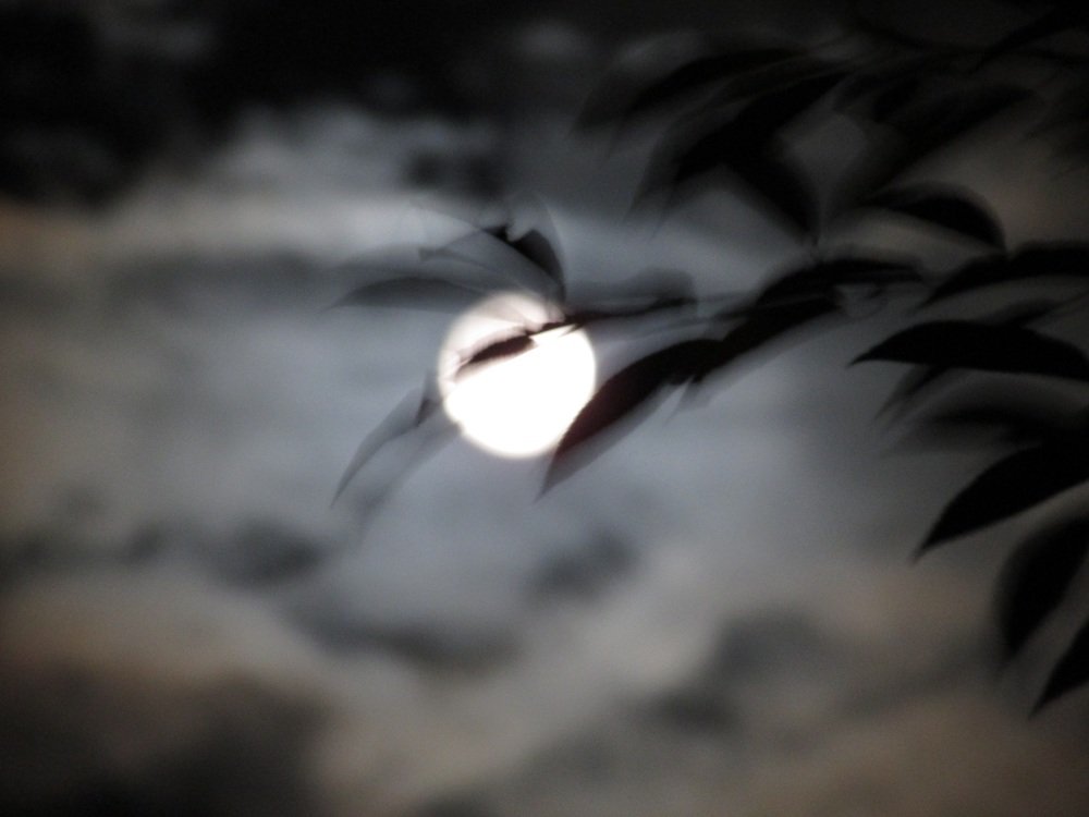 Photograph by Елена Грошева