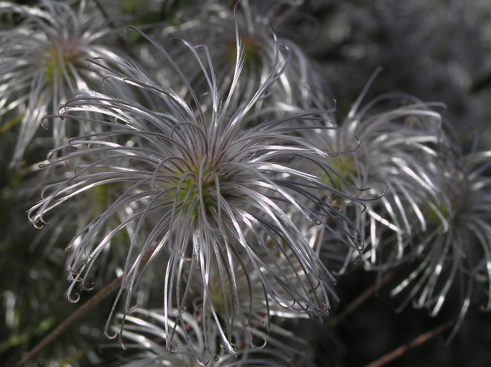 Photograph by Олександр Дормидонтов