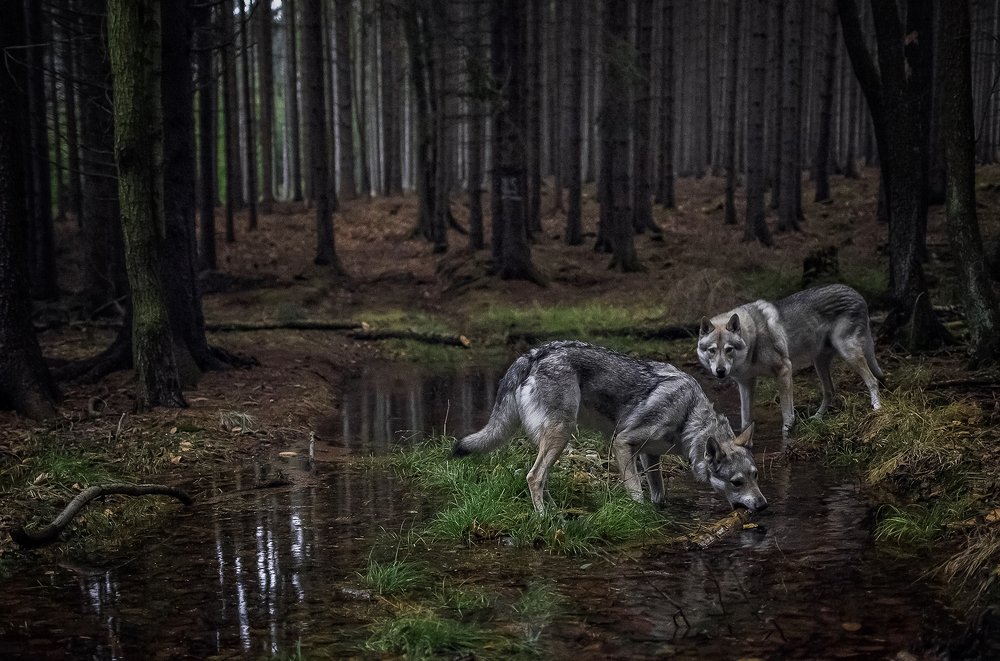 Photograph by Irena Markovich