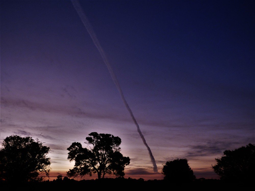 Photo #3727786