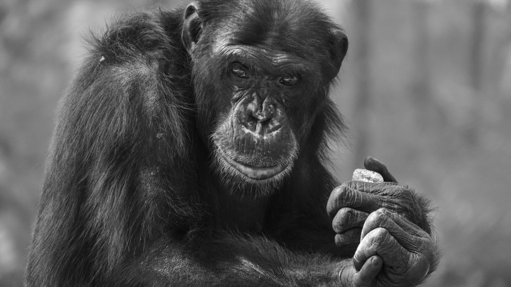 Photograph by Lahiru Henakaralalage