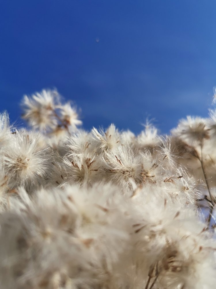 Photograph by Александр Полозов