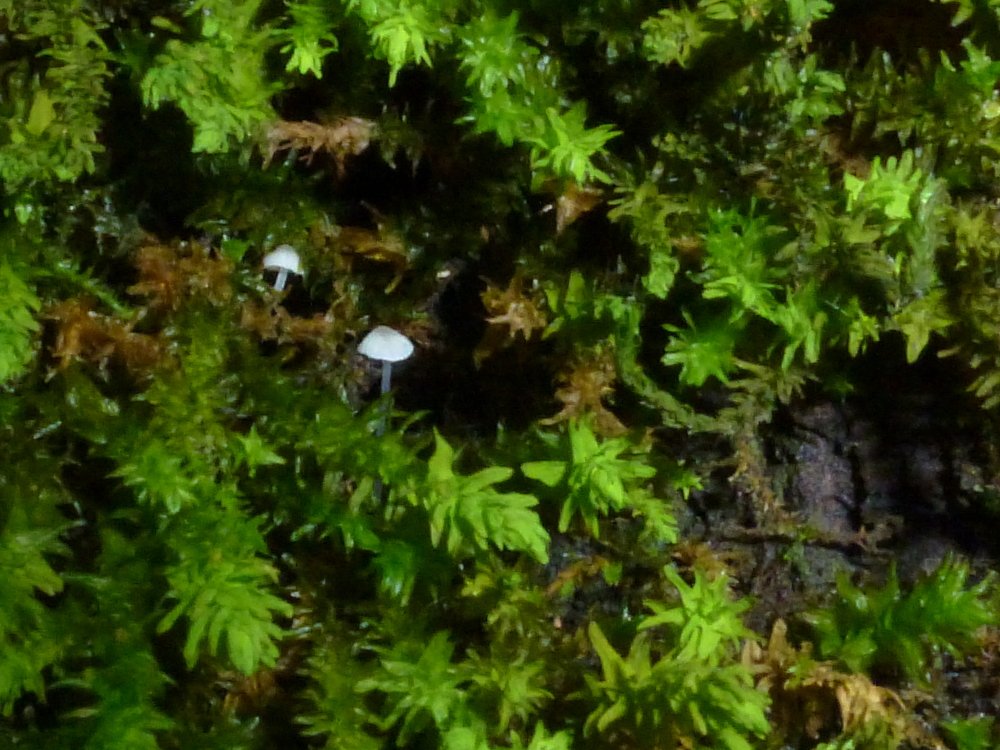 Photograph by Юлия Чурина