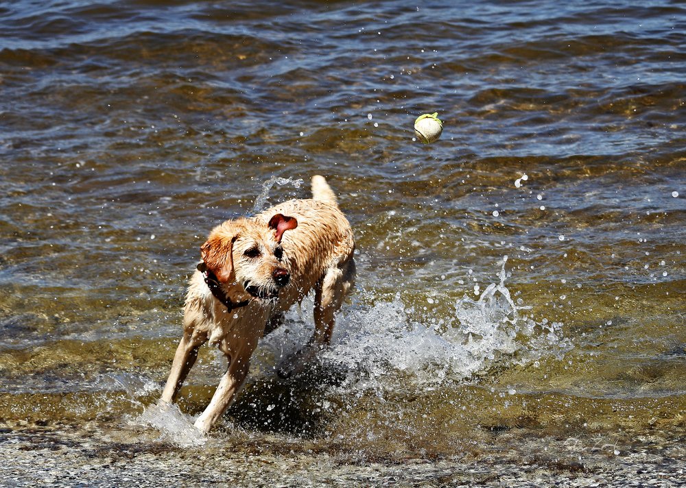 Фотография автора Joni Hidayat