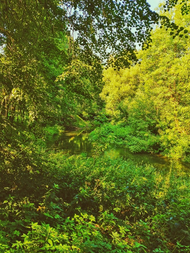 Photograph by Светлана Гончарова