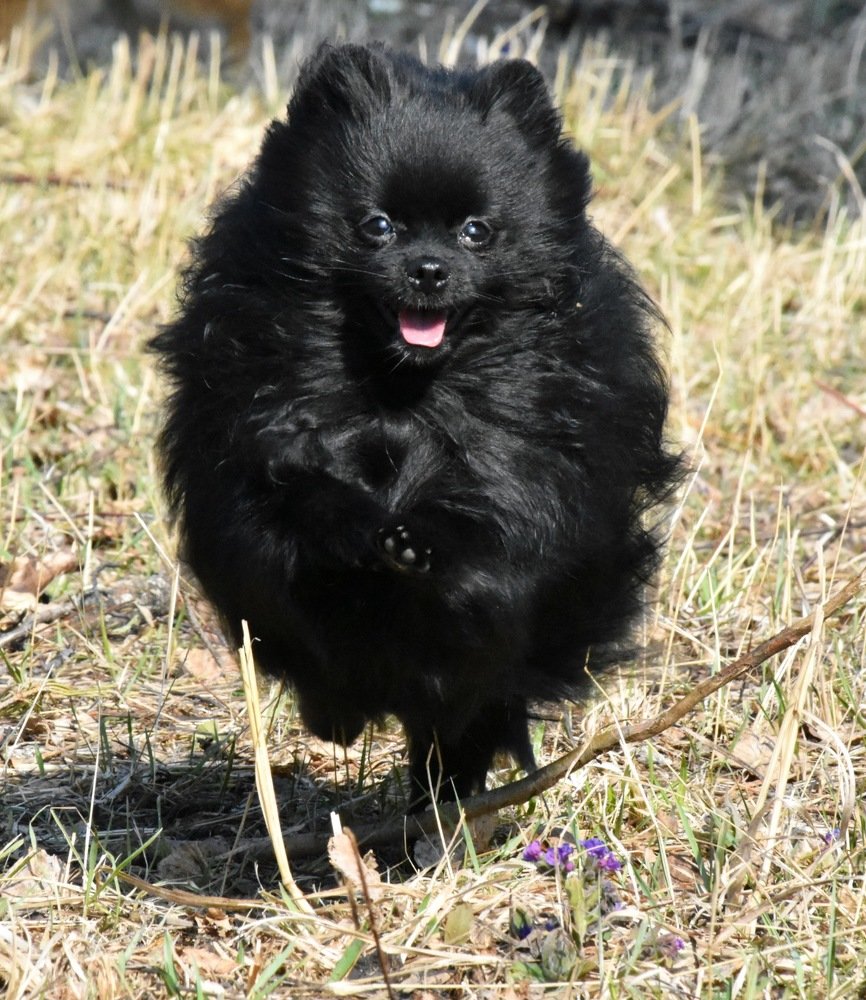 Photograph by @bersenika