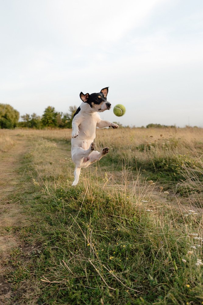 Photograph by Анастасия Ролдугина