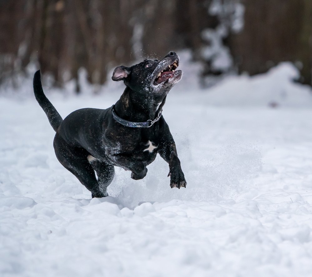 Photograph by Константин Дэм