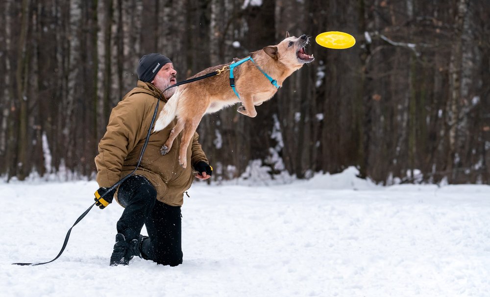 Photograph by Константин Дэм