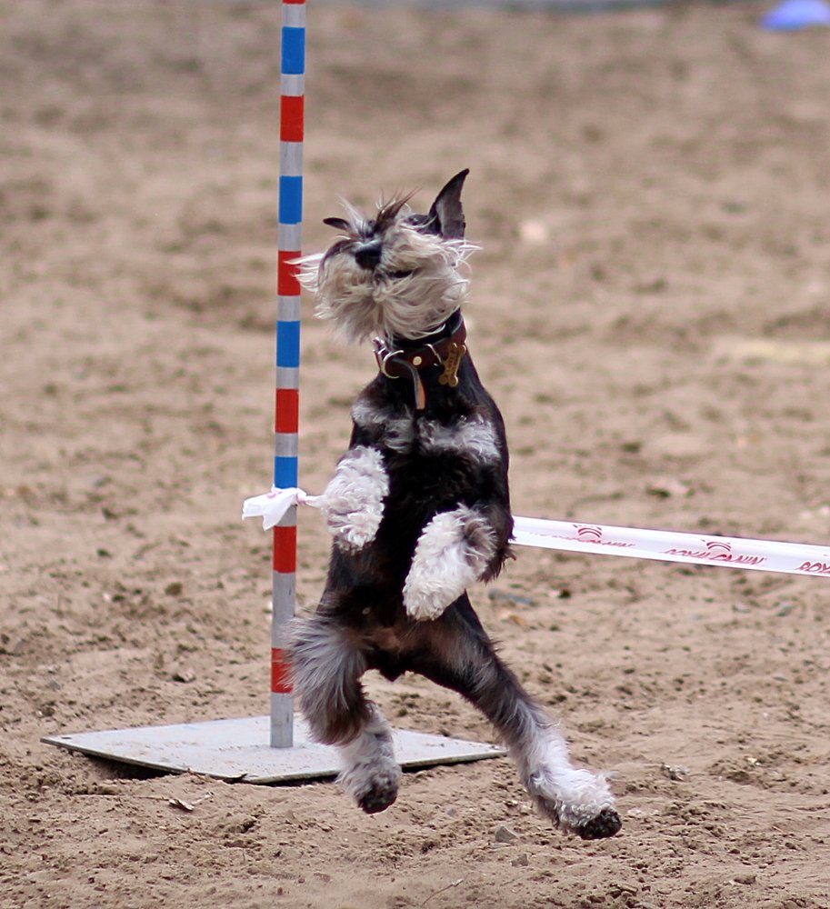 Photograph by Галина Щурова