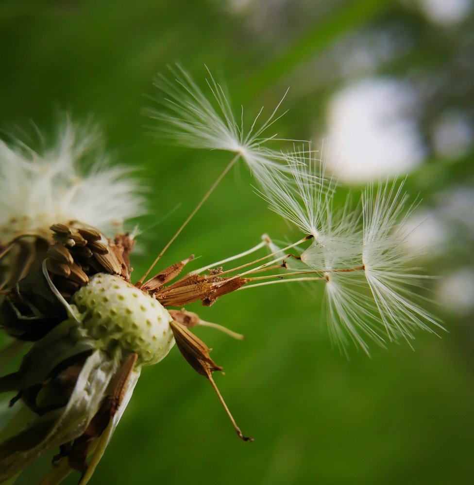 Photograph by Nina Janeckova