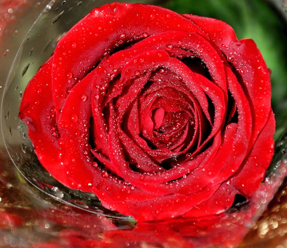 Photograph by НИНА АВЕРЬЯНОВА