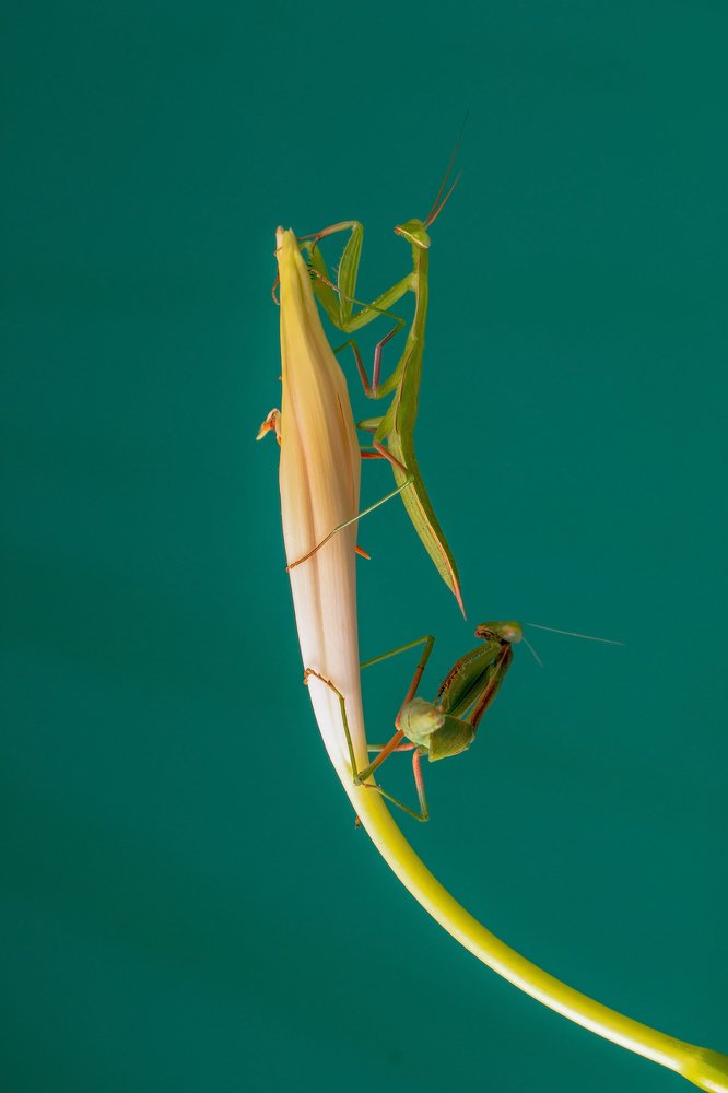 Photograph by Aliakbar Khandan