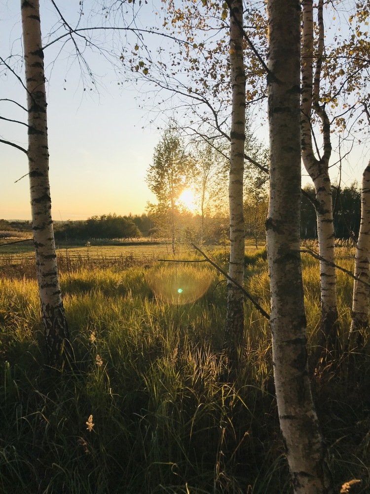 Photograph by Екатерина Артемова