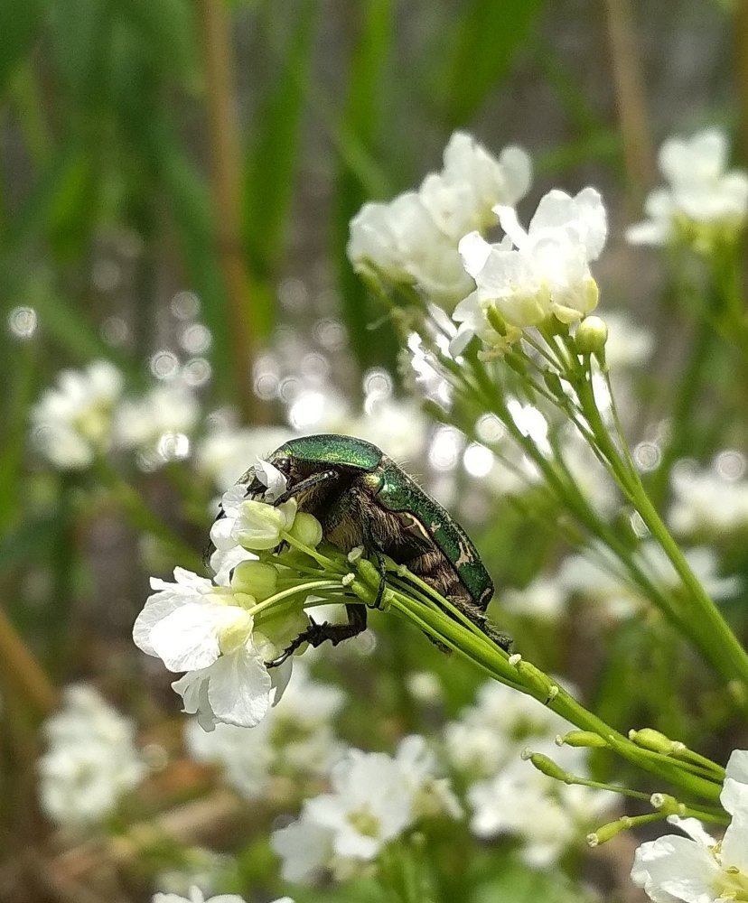 Photograph by Дарья