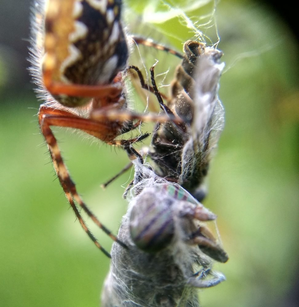 Photograph by Дарья