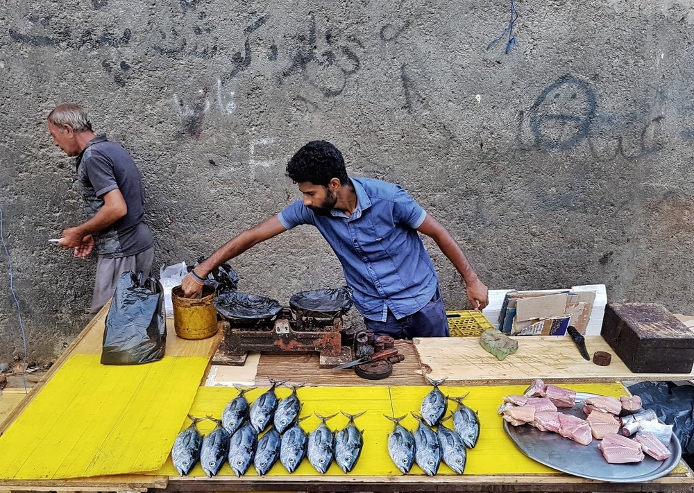 Photograph by  Mobin Mayeli