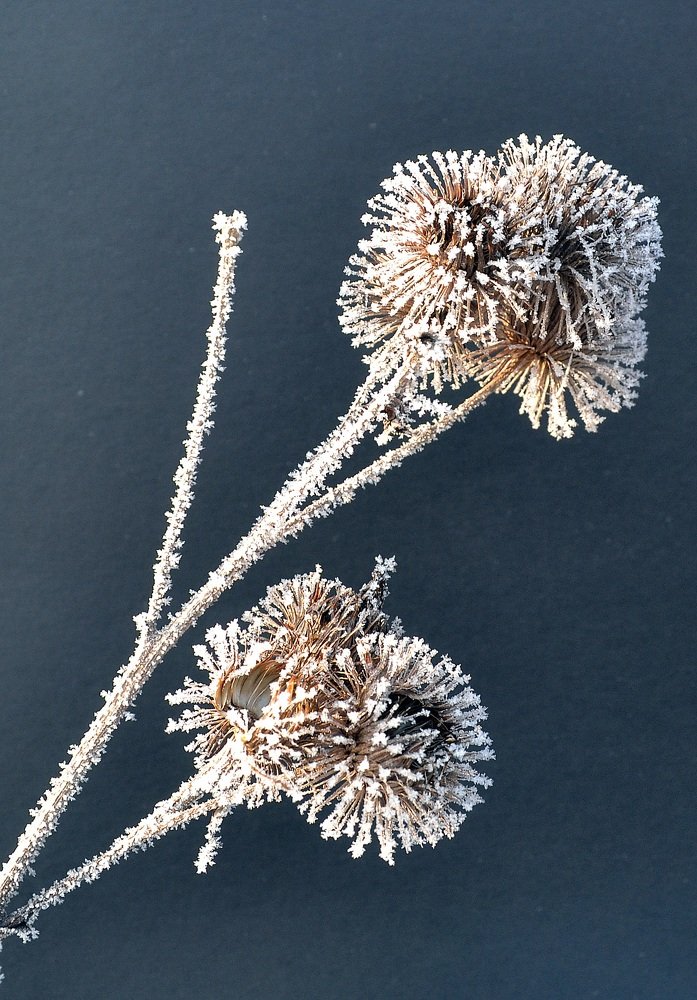 Photograph by алексей