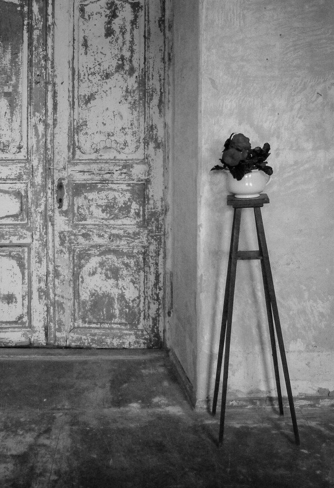 Photograph by Aleksandr Barsukov