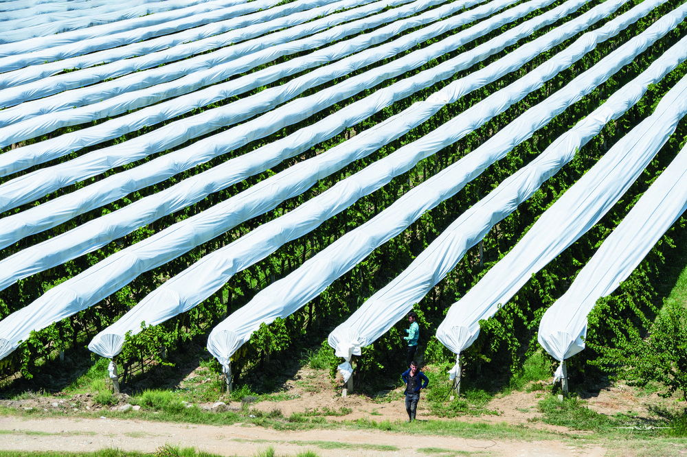 Photograph by Cem Yakal