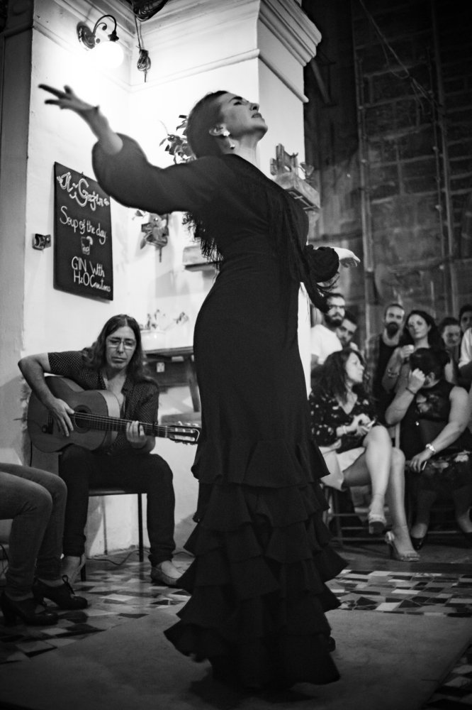 Flamenco Dancer