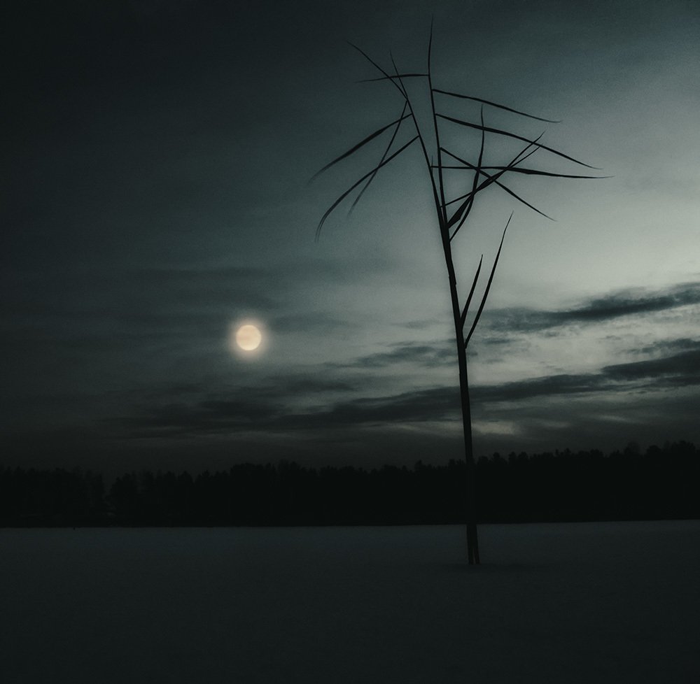 Фотография автора Виктор