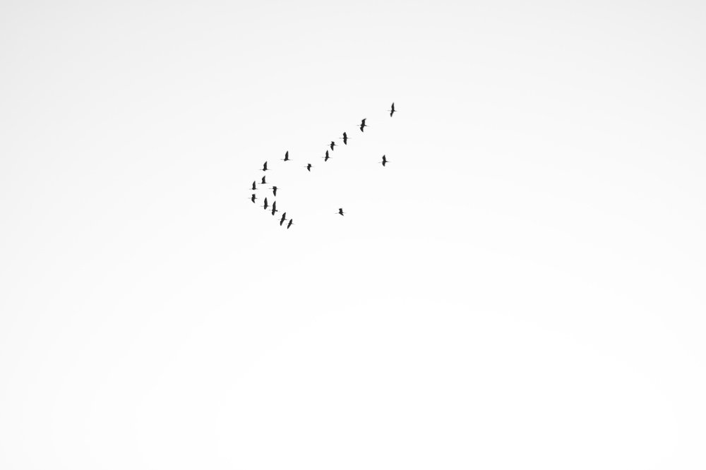 Photograph by Екатерина Селютина