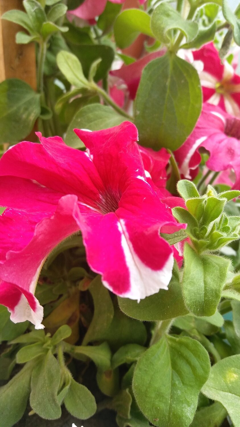 Photo #3728661