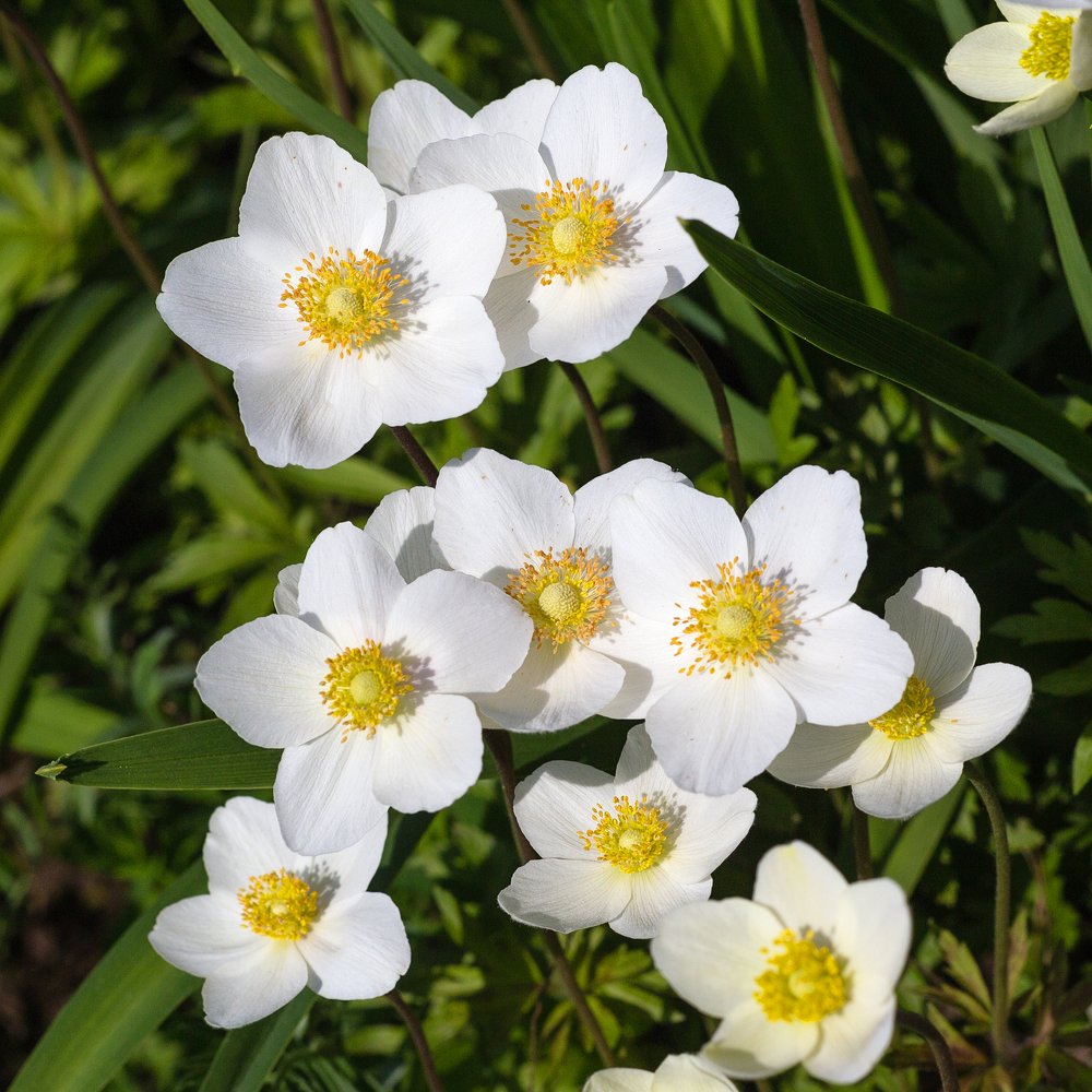 Photograph by Ирина Будагова